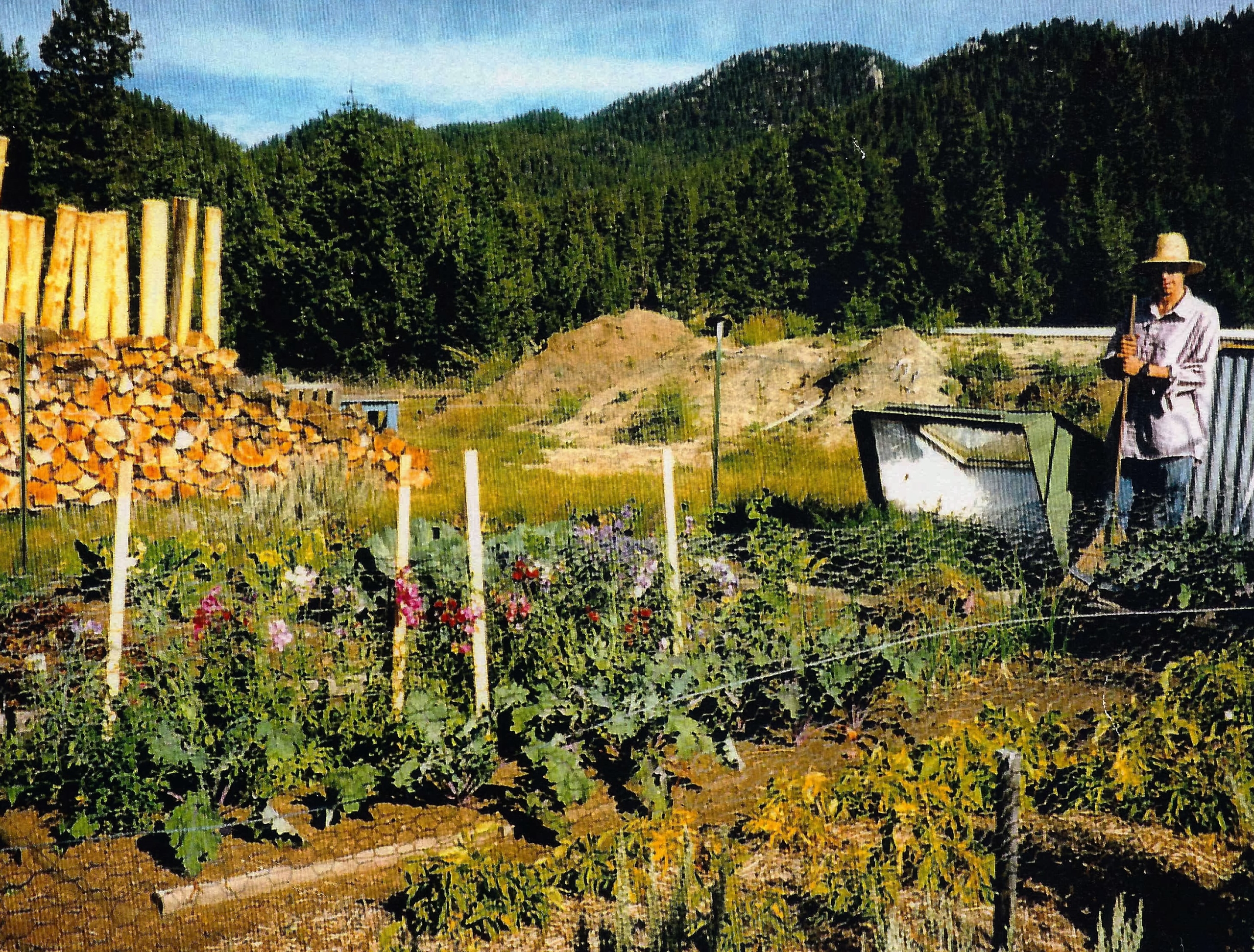 Chris in the first year's garden at Sage Mountain Center.